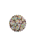 Mûres multicolores (100g)