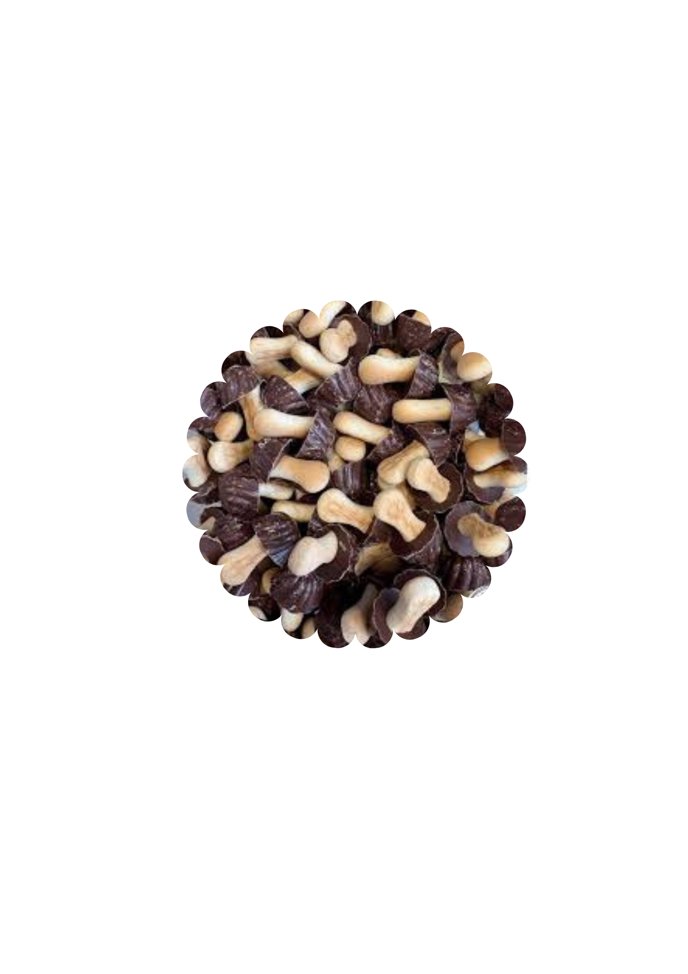 Champignons chocolat noir (100g)