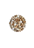 Champignons chocolat blanc (100g)
