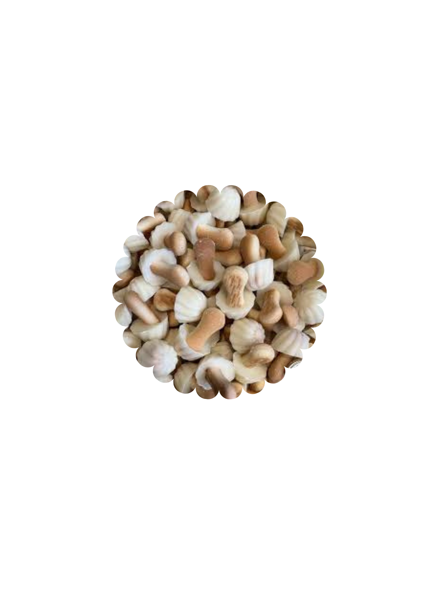 Champignons chocolat blanc (100g)