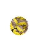 Bubs banane (100g)