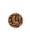 Souris chocolat caramel (100g)