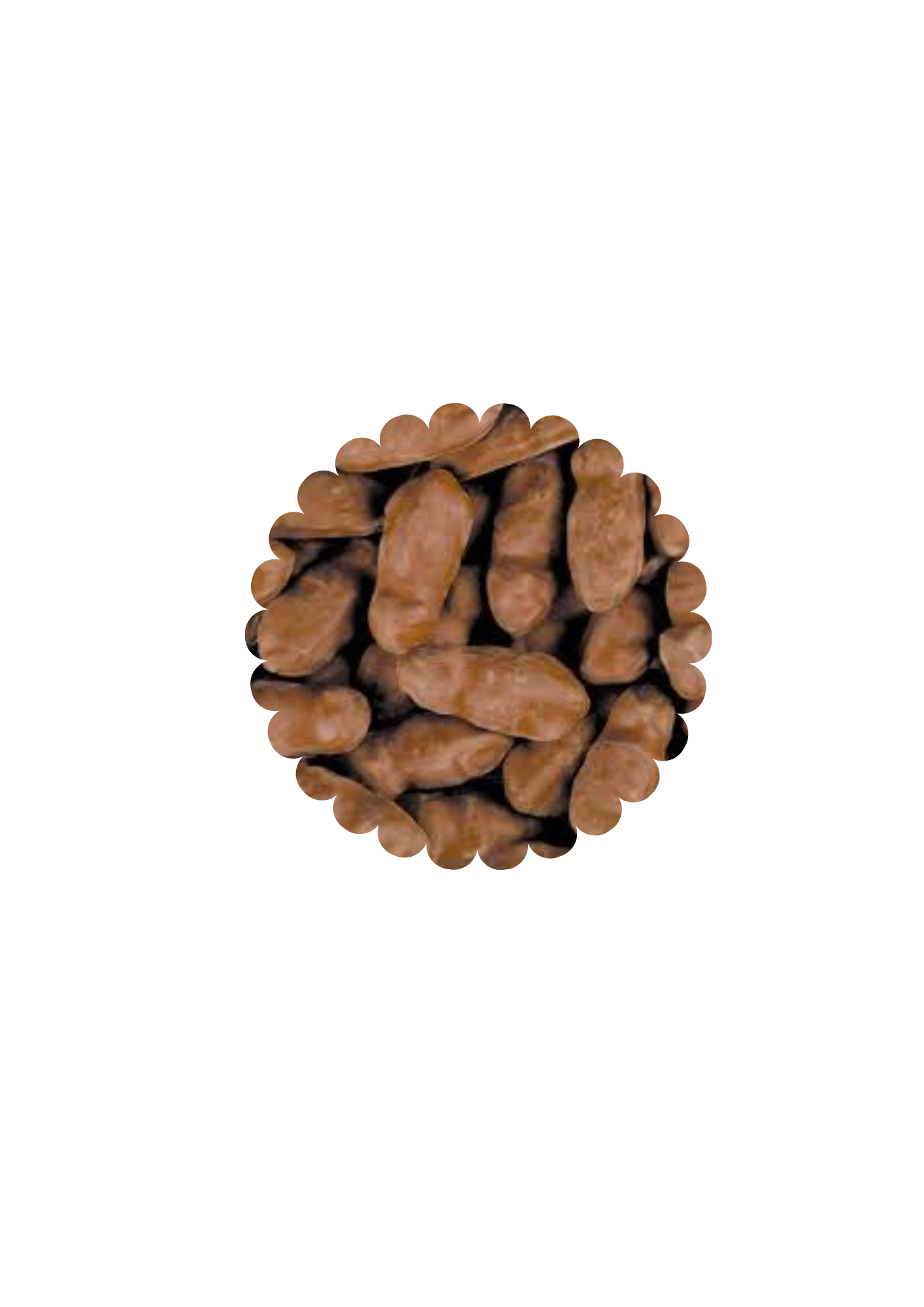 Souris chocolat caramel (100g)
