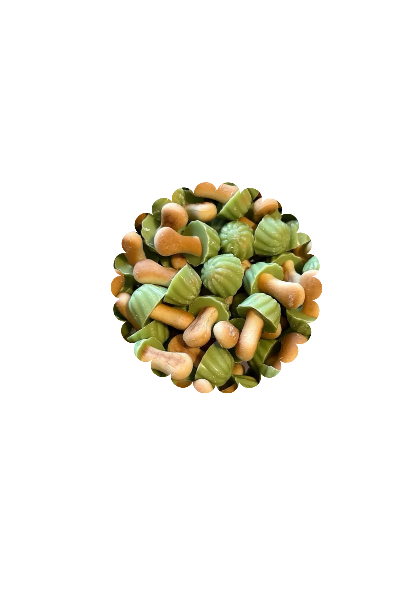 Champignons pistache (100g)