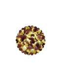 Flan caramel (100g)