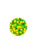 Ananas lisse (100g)
