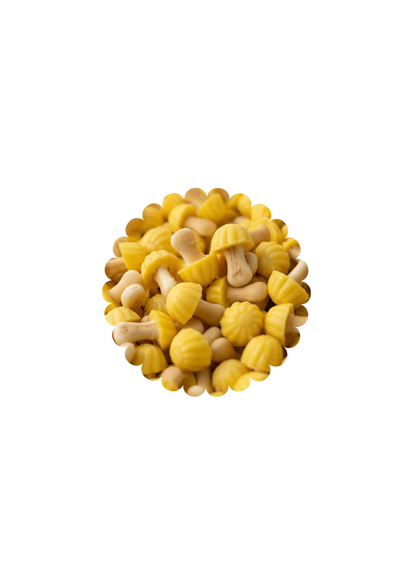 Champignons banane (100g)