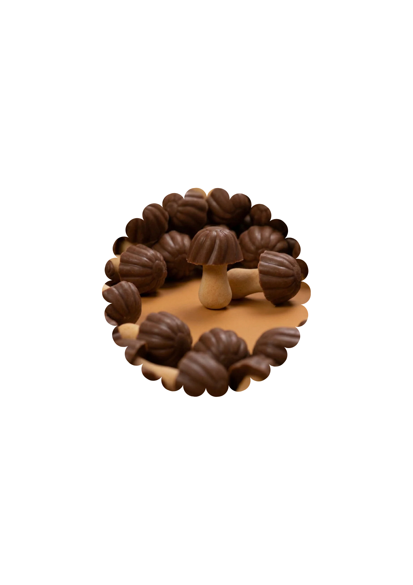 Champignons Caramel (100g)