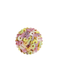Tétines aux fruits (100g)