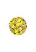 Bubs mini Banane Caramel (100g)