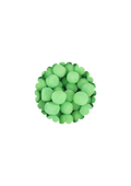 Caraneiges pomme(100g)