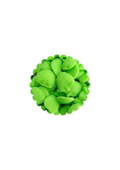 Pomme verte (100g)