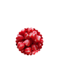 bisous twist fraise (100g)