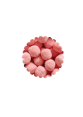 Caraneiges fraise(100g)